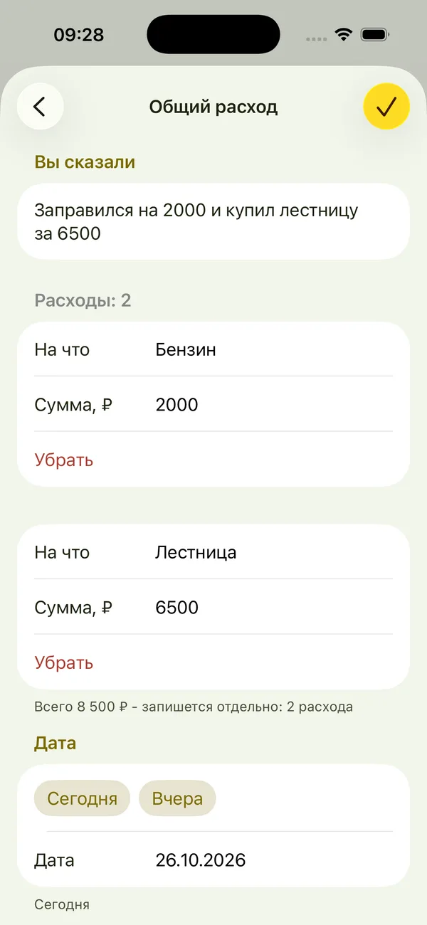 Экран Kasuar: общий расход из двух трат, бензин 2 000 и лестница 6 500 рублей